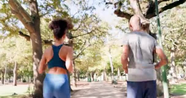Fitness Běh Černý Pár Parku Zezadu Cvičení Sbližování Přírodě Spolu — Stock video