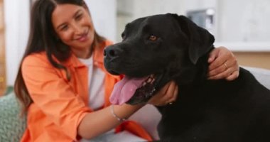 Kadın, köpek ve evdeki oturma odasındaki kanepede sevgi, dokunuş ya da arkadaşlar mutluluk için kucaklaşırlar. Köpek anne, kanepede ve dinlenme odasında evcil hayvan, hayvan ya da siyah labrador ile gülümseme, rahatlama ya da birbirine bağlanma.