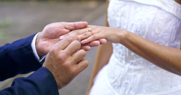 Wedding Ring Marriage Hands Closeup Couple Park Ceremony Commitment Celebration — Stock Video