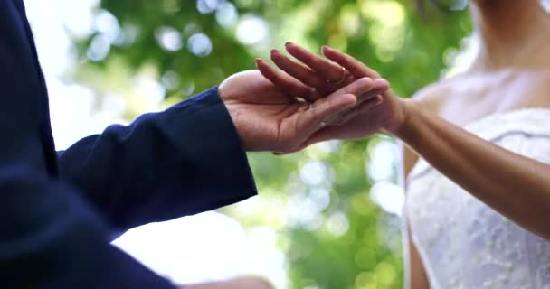 Esküvő Házasság Kéz Pár Parkban Szertartás Elkötelezettség Ünneplés Természetben Kapcsolat — Stock videók