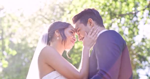 Casamento Verão Casal Rosto Toque Parque Natureza Apoio Celebração Casamento — Vídeo de Stock