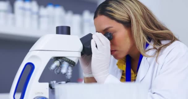 현미경 연구를 일하는 의사와 연구실에서 일하는 여성에게 말이죠 획기적 발견을 — 비디오