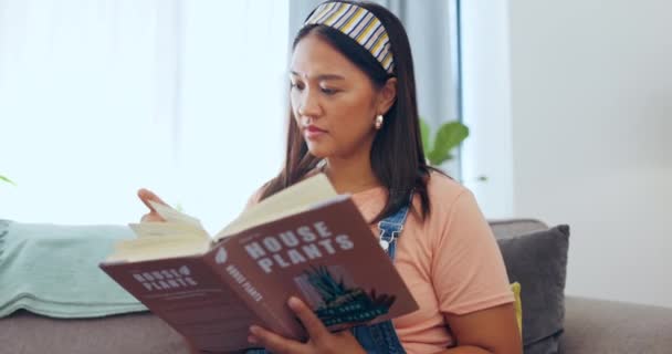 Relaxe Lendo Livro Com Mulher Sofá Para Estudar Informação Literatura — Vídeo de Stock