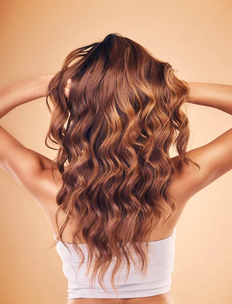 발라야 머리카락 과아름다움 케라틴 치료를 스튜디오 배경으로 곱슬머리 스타일의 뒷모습 — 스톡 사진