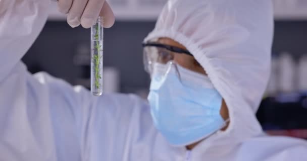 과학자와 연구나 혁신을 실험실에서 일하는 Covid Mask Sample 의사와 생물학은 — 비디오