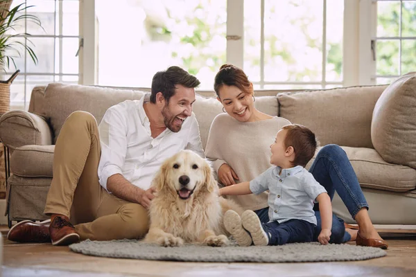 Family laugh, home and dog with child, mom and dad in living room with love in lounge. Animal, pet and mother with father and young kid with happiness in house with golden retriever and care on floor.