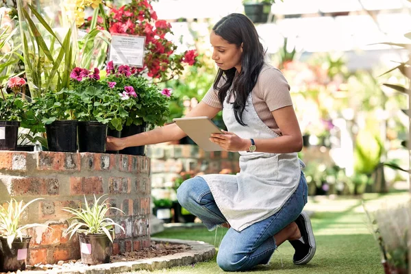 Woman, tablet and flowers in nursery, check and quality inspection for growth, development and health. Young business owner, entrepreneur and inventory for plants, sustainability and gardening store.