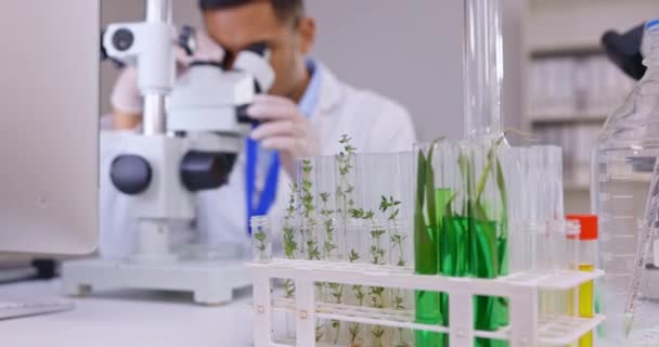Ciência Vegetal Microscópio Homem Laboratório Para Análise Alimentos Gmo Pesquisa — Vídeo de Stock