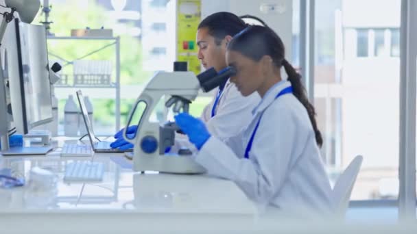 Laboratórium Tudomány Mikroszkóp Analízisre Vagy Vírusminta Vizsgálatára Gyógyszerlaborban Női Tudós — Stock videók
