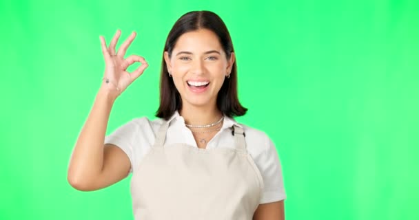 Face Hands Happy Woman Green Screen Background Support Small Business — Stock Video