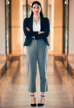 Kadın, profesyonel ve ciddi bir portre, ofiste koluyla girişimciliğin lideri. Kadın uzman, kararlı ve işinde yönetici kariyeri için kendine güvenen bir ajansta çalışıyor.