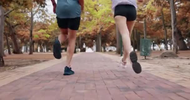Паркова Фітнес Ноги Кілька Друзів Роблять Кардіо Вправи Тренування Марафону — стокове відео