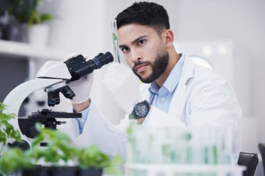 Bitki bilimi, mikroskop ve sürdürülebilirlik test tüpü ve botanik araştırması olan bir laboratuvarda insan. Yaprak büyümesi, çalışma ve tarım gelişimi ve çevre analizi için teknolojisi olan erkek bilim adamı.