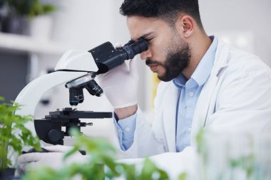 Bitki bilimi, mikroskop ve sürdürülebilirlik, ekoloji ve botanik araştırmalarına sahip bir laboratuvarda insan. Yaprak büyümesi, çalışma ve erkek bilim adamı tarım geliştirme ve kapsam testi laboratuvarında.