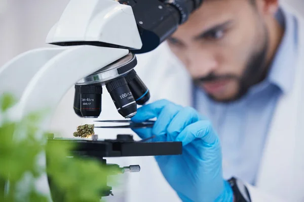 Partículas Vegetales Ciencia Del Microscopio Hombre Laboratorio Con Ecología Sostenible — Foto de Stock