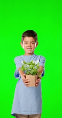 Çocuklar, bitkiler ve çocuk yeşil ekran arka planında stüdyoda bahçıvanlık veya sürdürülebilirlik için. Çocuklar, portre ve Toprak Günü 'nde sevimli bir erkek çocuk saksı bitkisini gönüllü olarak tutuyor..