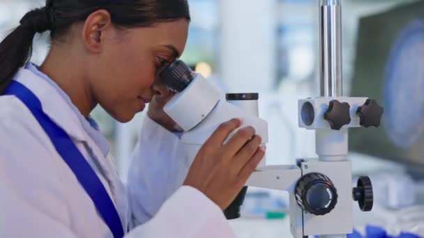 医学研究 显微镜检查和女科学家与Dna数据和实验室科学工作 从事保健发展工作的一名诊所工作人员的实验室工作人员 分析和生物技术研究 — 图库视频影像