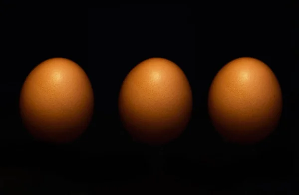 Agricultura Fertilidad Huevos Fondo Oscuro Estudio Para Sostenibilidad Granja Reproducción —  Fotos de Stock