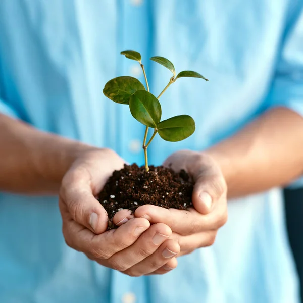 Plant Growth Sustainability Person Holding Budding Flower Soil Closeup Conservation — Stock Photo, Image