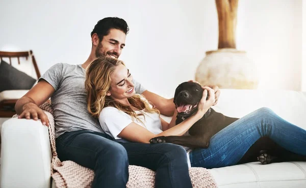 Sonríe Relájate Pareja Feliz Con Perro Sofá Casa Uniéndose Abrazándose — Foto de Stock