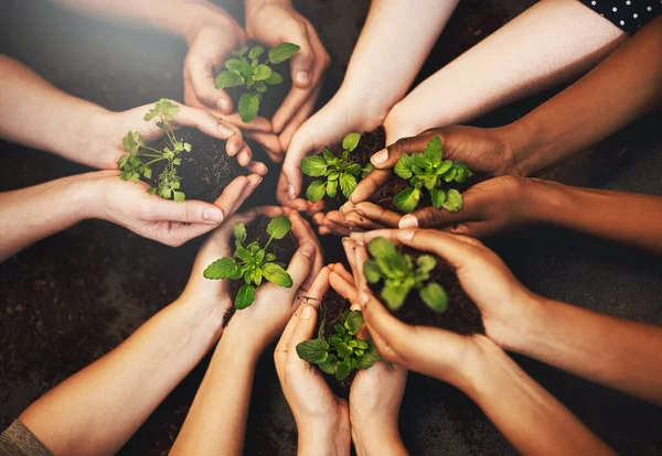 stock image Hands together, soil and plant growth with green sustainability and community work. People above, leaf and environment project for gardening, farming and sustainable eco dirt for agriculture.