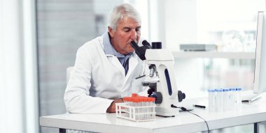 Hepsi bir günde. Laboratuvarda otururken mikroskopla bakan odaklanmış yaşlı bir bilim adamı.