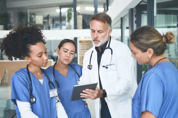 정기적으로 환자의 상태를 검사해 잘생긴 의사가 간호사들 토론하는 디지털 태블릿을 — 스톡 사진