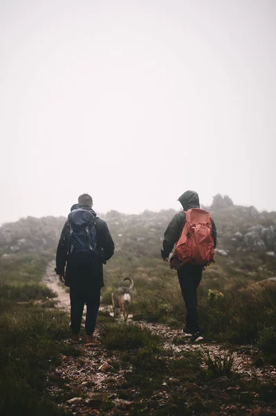 我们都需要逃跑雾天 两个朋友和一条狗在山上爬山 — 图库照片
