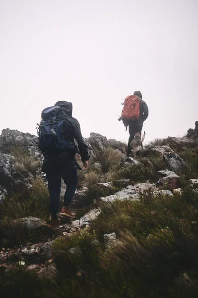你永远不会后悔的一件事就是去远足 两个在山上远足的男性朋友 — 图库照片