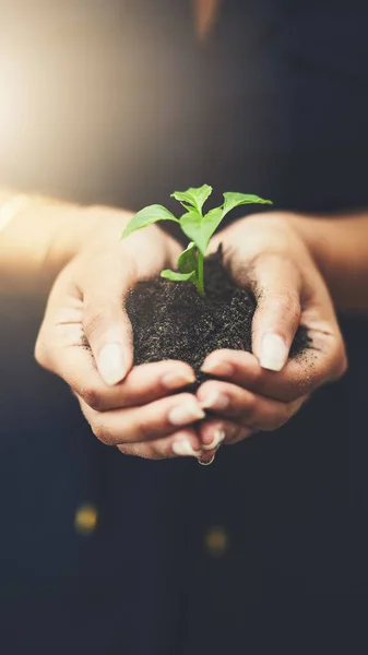 Humble Beginnings Woman Holding Plant Growing Out Soil — Stock Photo, Image