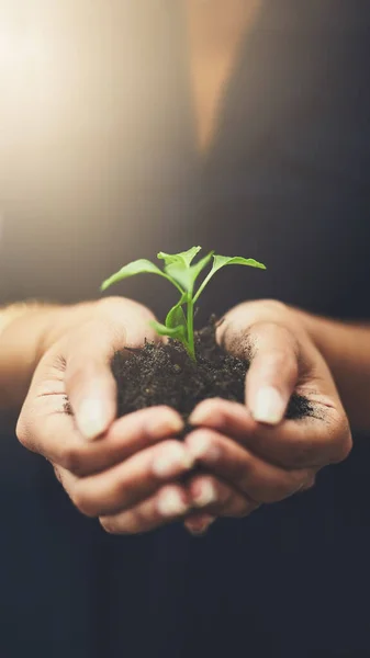 Who Knows You Grow Woman Holding Plant Growing Out Soil — Stock Photo, Image