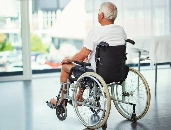 Apreciar Vista Rearview Tiro Homem Idoso Uma Cadeira Rodas Admirando — Fotografia de Stock