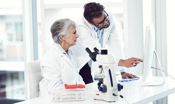 Putting Doctor Heads Together Two Focused Scientist Working Together Computer — Stock Photo, Image