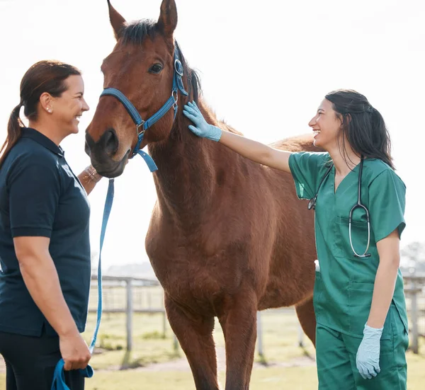農場での女性 獣医とチェック馬の健康 獣医学と病気の動物の世話 ペットのための動物の医療 健康または獣医師で働く農業 医療の専門家 — ストック写真