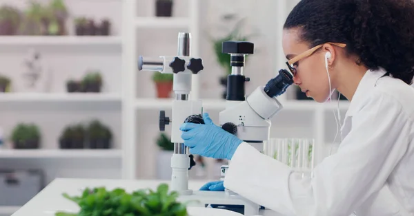 Science Microscope Plante Avec Femme Laboratoire Médical Pharmacie Recherche Biotechnologie — Photo