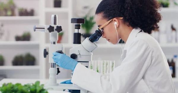 Nauka Ekologia Mikroskop Kobietą Laboratorium Dla Ekspertów Botaniki Medycyny Planowania — Zdjęcie stockowe