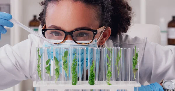 Nauka Skupienie Roślin Kobietą Laboratorium Dla Medycyny Farmacji Badań Badania — Zdjęcie stockowe