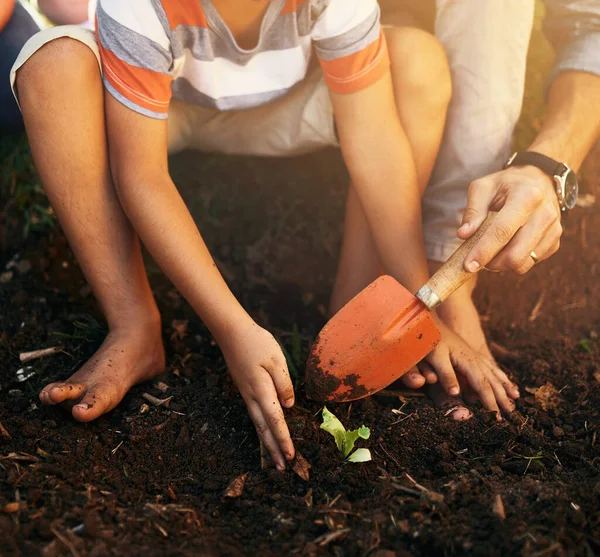 家长或植物在花园土壤中的手 以促进可持续性 农业照料或农业发展 农民手握铲子或种植以教育儿童的自然 生长或特写 — 图库照片