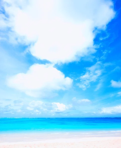 蓝天和风景 海滩和旅行 白色的沙子和暑假在夏威夷户外 具有热带目的地和岛上旅行的环境 地平线和海滨位置 — 图库照片