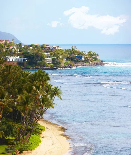 Tropik plaj, ağaçlar ve gökyüzü doğa, binalar ve yaz güneşli okyanuslar. Açık havada, Hawaii 'de ve doğal deniz ortamında palmiye ağaçları, kum ve su ufukta adalar halinde..