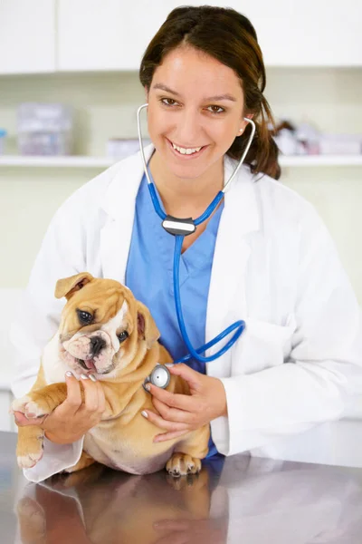Portret Szczęśliwy Lekarz Lub Pies Klinice Weterynaryjnej Badania Zdrowia Zwierząt — Zdjęcie stockowe