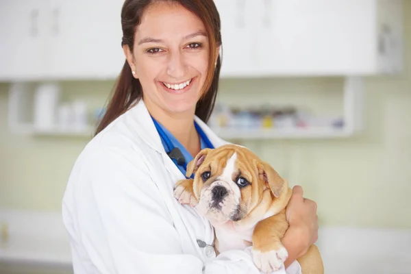 女性の獣医 子犬や笑顔で病院の肖像画 ケアと健康 健康や成長への愛 女性獣医師 犬の抱擁 幸福と医療のためのクリニックでの医療注意 — ストック写真