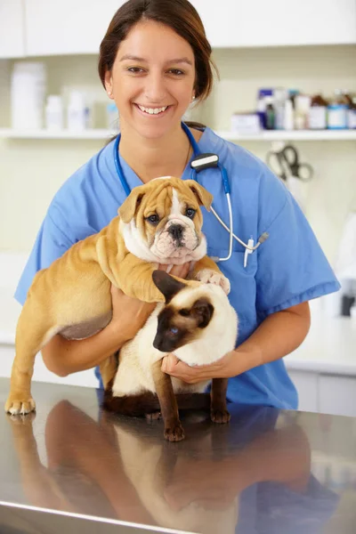 Portre Veteriner Kadın Hayvanlarla Klinikle Yardımla Özenle Bir Gülümsemeyle Hayır — Stok fotoğraf