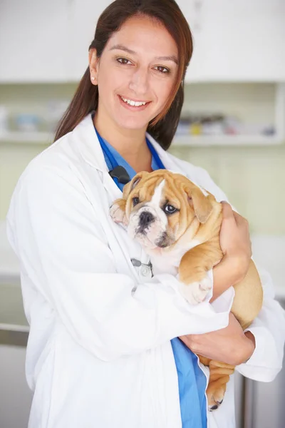 健康や成長のための笑顔 ケアと愛と女性の獣医 子犬やクリニックの肖像画 女性獣医師 犬の抱擁 幸福と医療のための病院での医療注意 — ストック写真