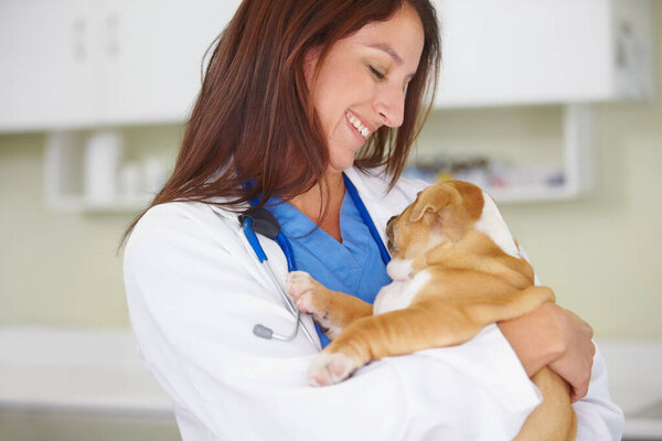 Woman vet, puppy and animal hospital with smile, care and love for health, wellness or growth. Female veterinarian, doctor and dog with hug, happiness and healthcare in clinic for medical attention.