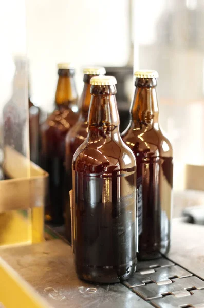 Montážní Linka Pivo Láhve Továrně Pivovaru Nebo Výrobním Závodě Alkoholové — Stock fotografie