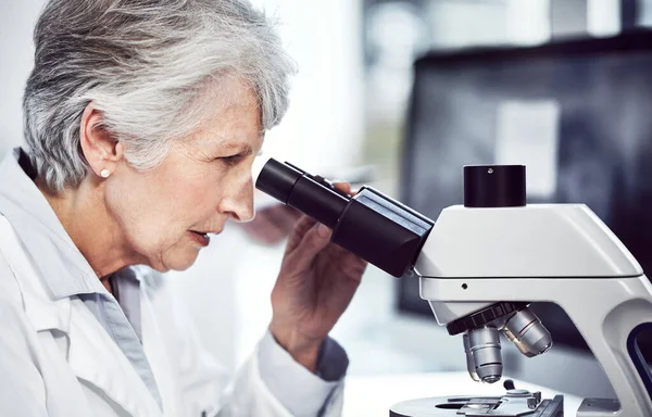 Przyglądam Się Dokładnie Skupiona Starsza Kobieta Naukowiec Patrząc Przez Mikroskop — Zdjęcie stockowe