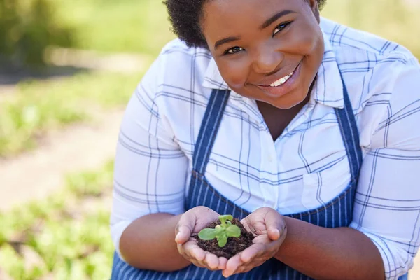 Agricultura Retrato Mulher Negra Com Planta Nas Mãos Para Plantio — Fotografia de Stock
