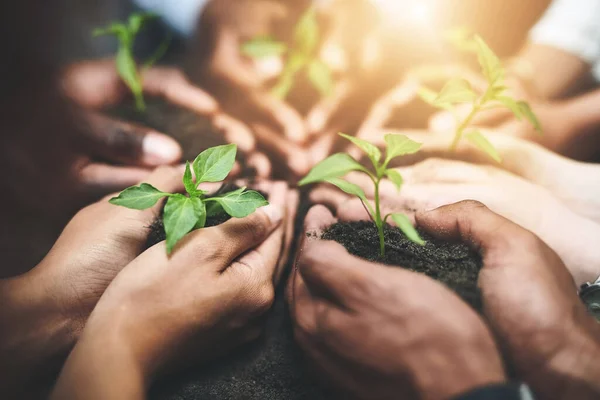 Handling Business Care Group People Holding Plants Growing Out Soil — Stock Photo, Image