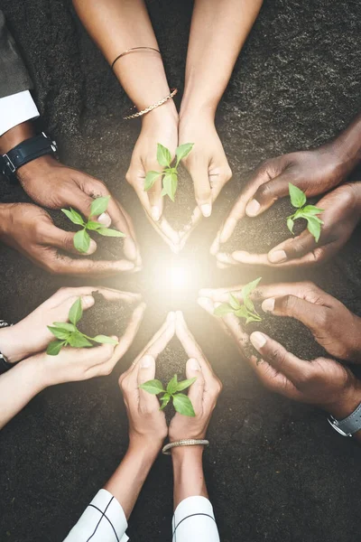 Business Its Basic Roots Group People Holding Plants Growing Out — Stock Photo, Image